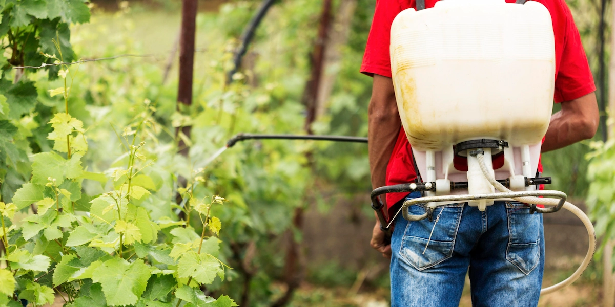 Agro ECA 20l dezynfekcja szklarni i upraw